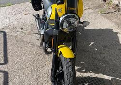 Ducati Scrambler 800 Icon (2017 - 20) usata