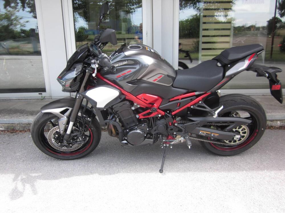 Kawasaki Z 900 (2025 - 26)