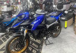 QJ Motor SRT 800 SX (2024 - 25) usata