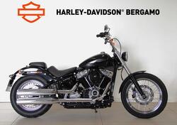 Harley-Davidson Softail Standard (2021 - 25) usata