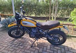 Ducati Scrambler 800 Classic (2015 - 16) usata