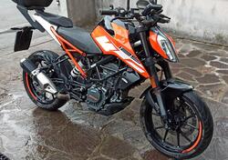 KTM 125 Duke ABS (2017 - 20) usata