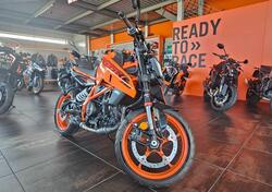 KTM 390 Duke (2024 - 26) nuova