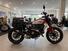 Ducati Scrambler 800 Icon (2023 - 25) (7)