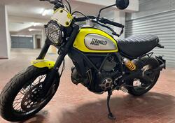 Ducati Scrambler 800 Flat Track Pro (2016 - 17) usata