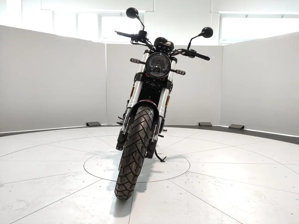 Benelli Leoncino 500 Trail (2021 - 26) (7)