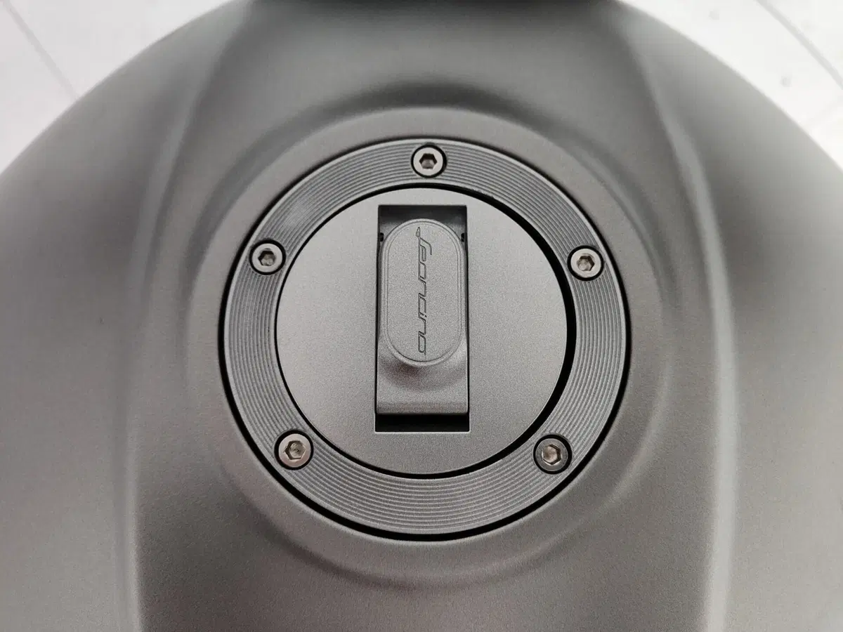 Benelli Leoncino 800 Trail (2022 - 26) (18)