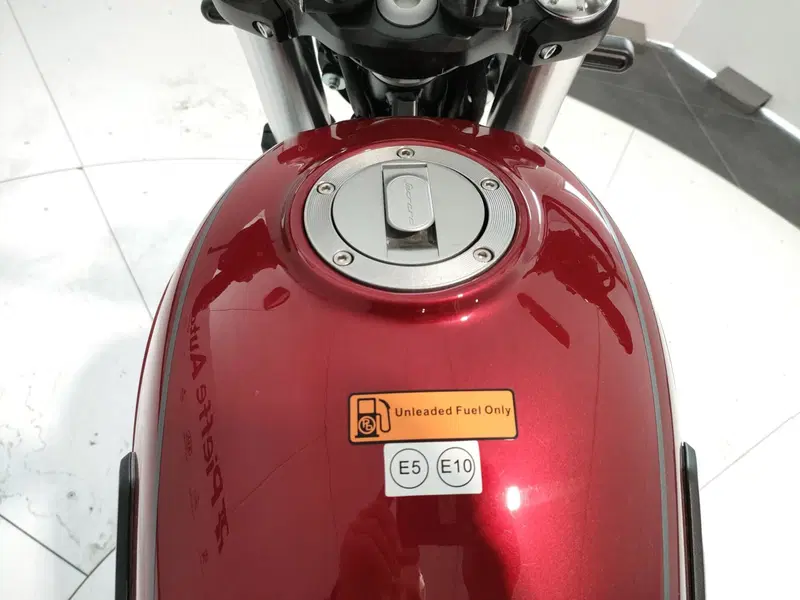 Benelli Leoncino 500 Trail (2021 - 26) (18)