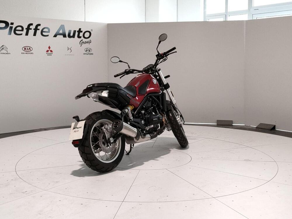 Benelli Leoncino 500 Trail (2021 - 25) (4)