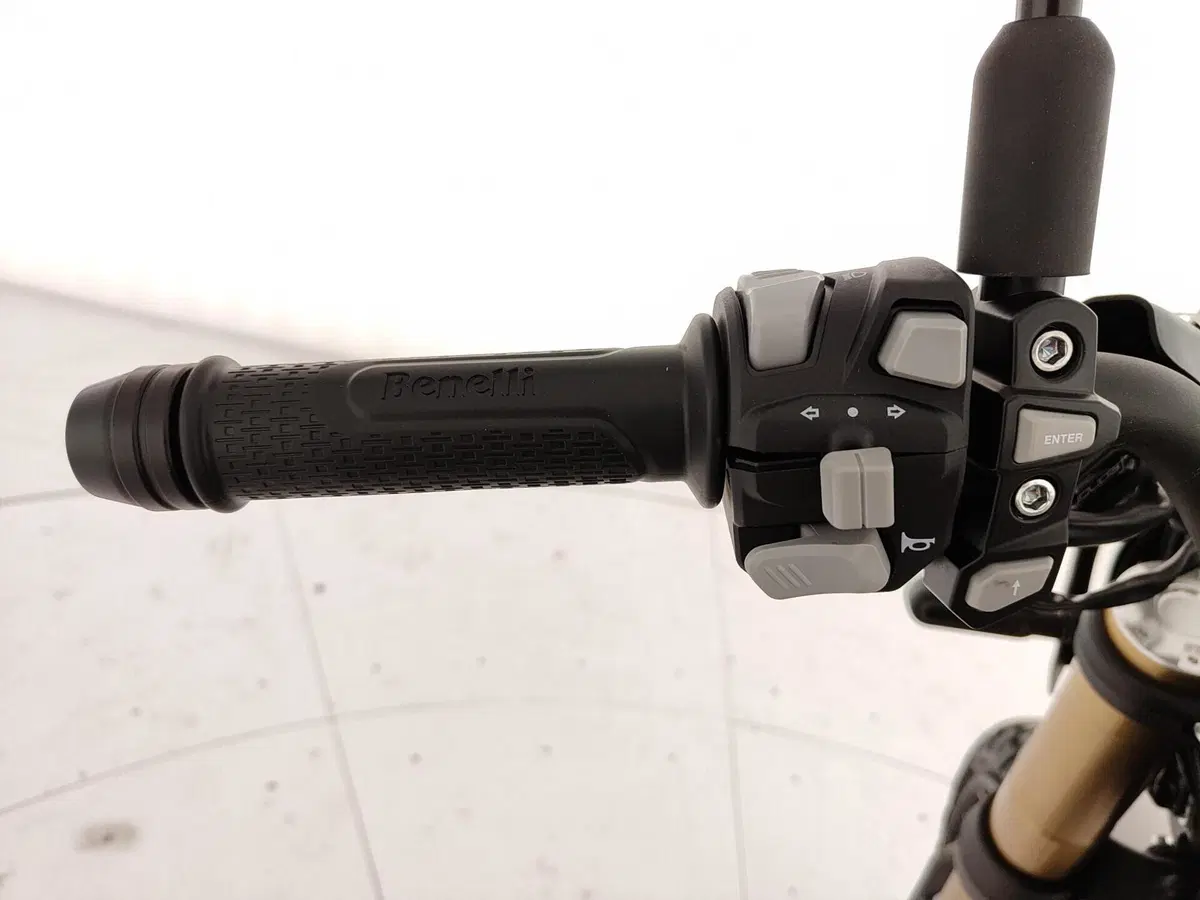 Benelli Leoncino 800 Trail (2022 - 26) (15)