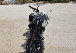 Moto Guzzi V7 III Stone (2017 - 20) usata