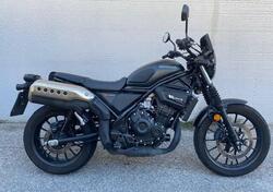 Honda CL500 (2023 - 24) usata