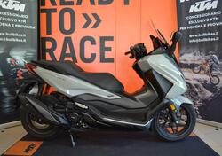 Honda Forza 350 (2022 - 24) usata