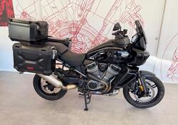 Harley-Davidson Pan America 1250 (2020 - 25) usata
