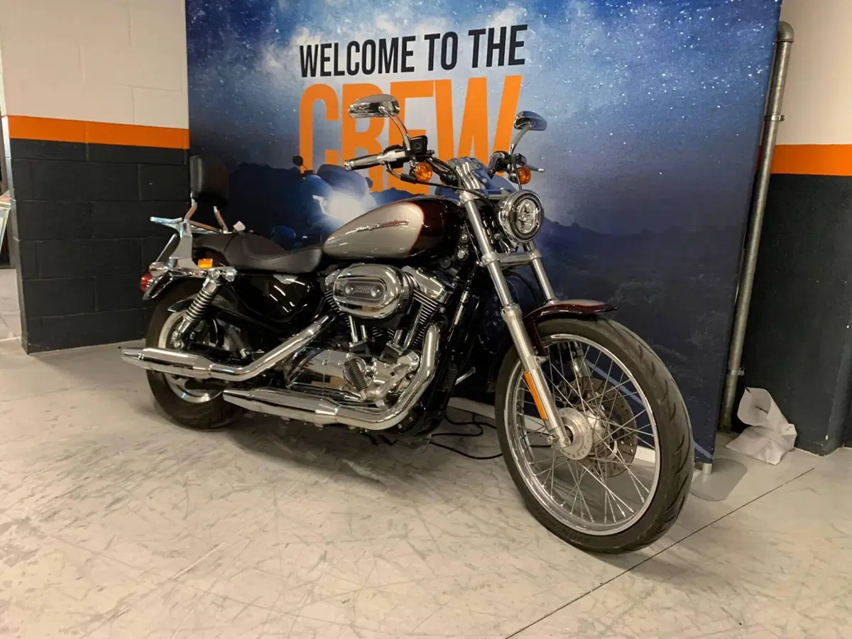 Harley-Davidson 1200 Custom (2007 - 13) - XL 1200C (2)