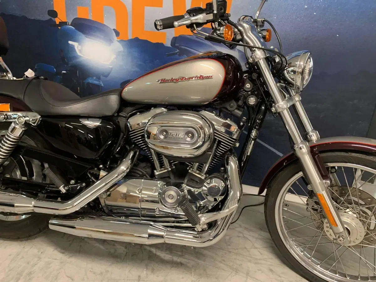 Harley-Davidson 1200 Custom (2007 - 13) - XL 1200C (3)