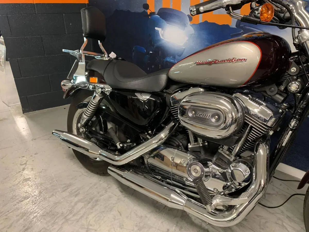 Harley-Davidson 1200 Custom (2007 - 13) - XL 1200C (4)