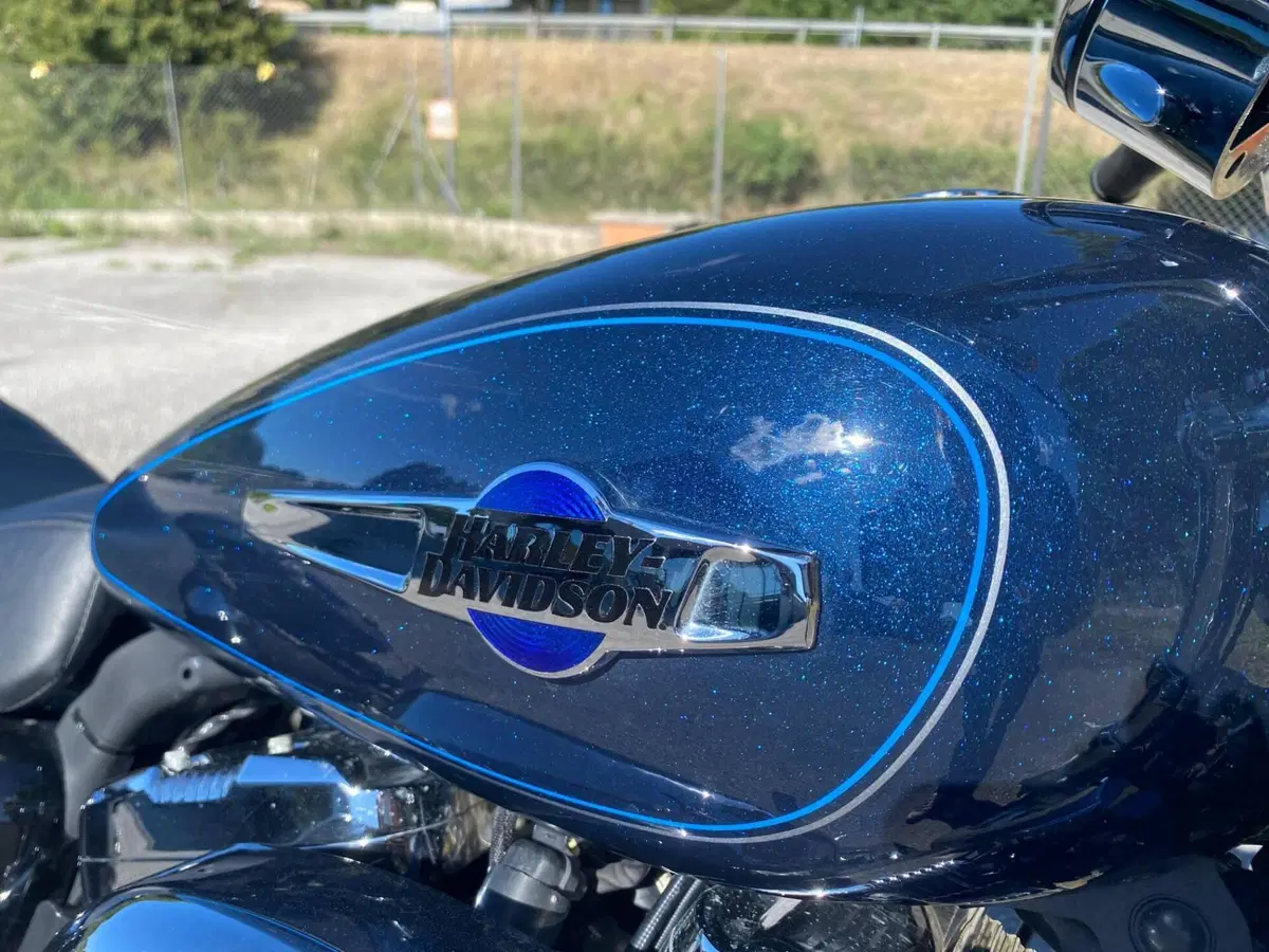 Harley-Davidson 1200 Custom ABS (2014 - 16) - XL 1200C (7)