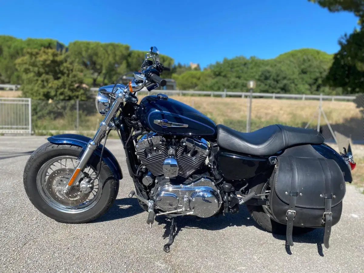 Harley-Davidson 1200 Custom ABS (2014 - 16) - XL 1200C (4)