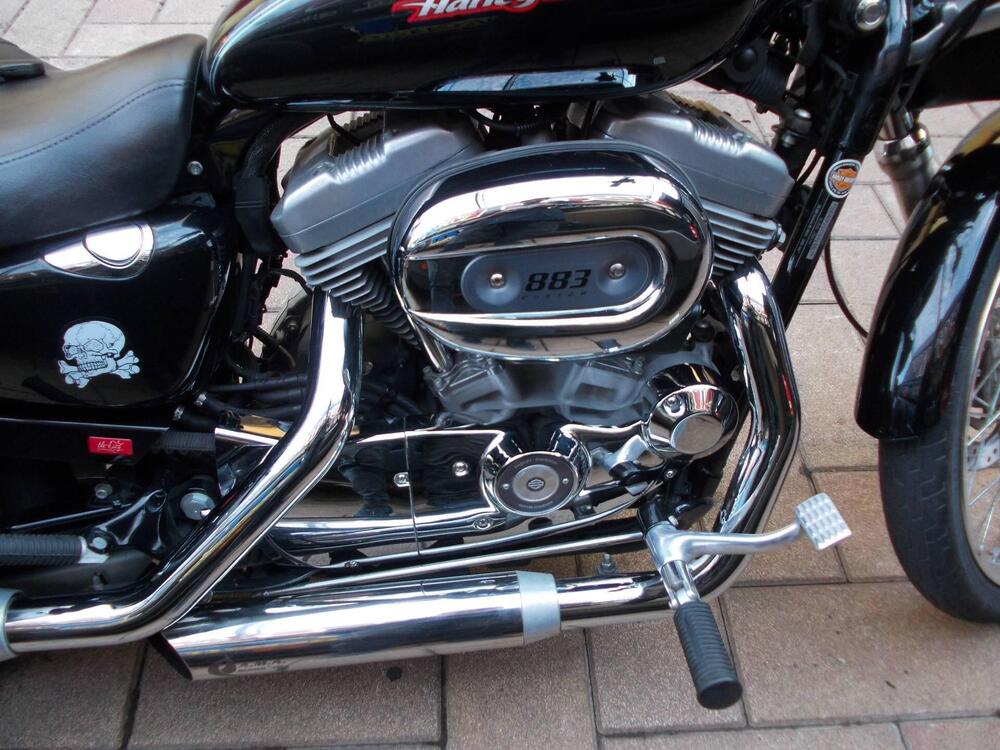Harley-Davidson 883 (2006 - 07) - XL (5)