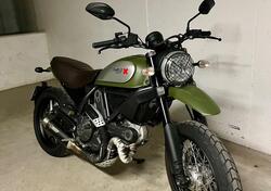 Ducati Scrambler 800 Urban Enduro (2015 - 16) usata