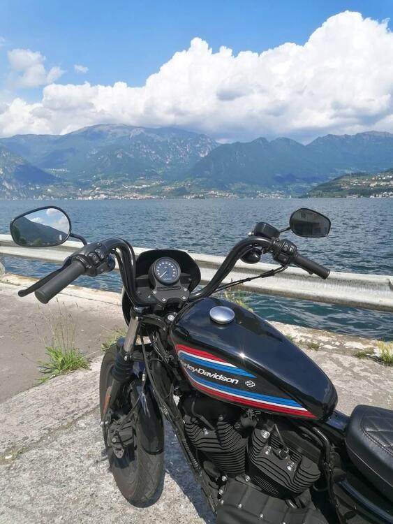 Harley-Davidson 1200 Iron (2018 - 20) - XL1200N (2)