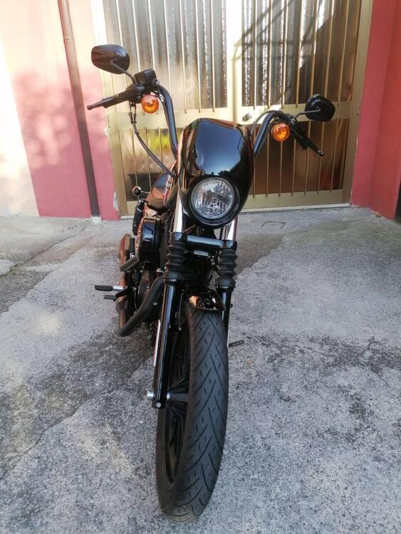 Harley-Davidson 1200 Iron (2018 - 20) - XL1200N (4)