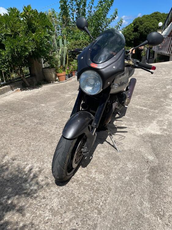 Moto Guzzi V11 Sport (1999 - 02) (2)