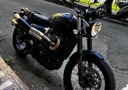 Triumph Scrambler 900 (2023 - 25) usata