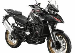 QJ Motor SRT 800 SX (2024 - 25) nuova