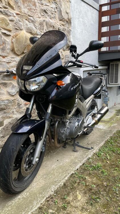 Yamaha TDM 900 (2002 - 14) (3)