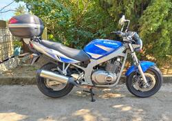 Suzuki GS 500 (2001 - 06) usata