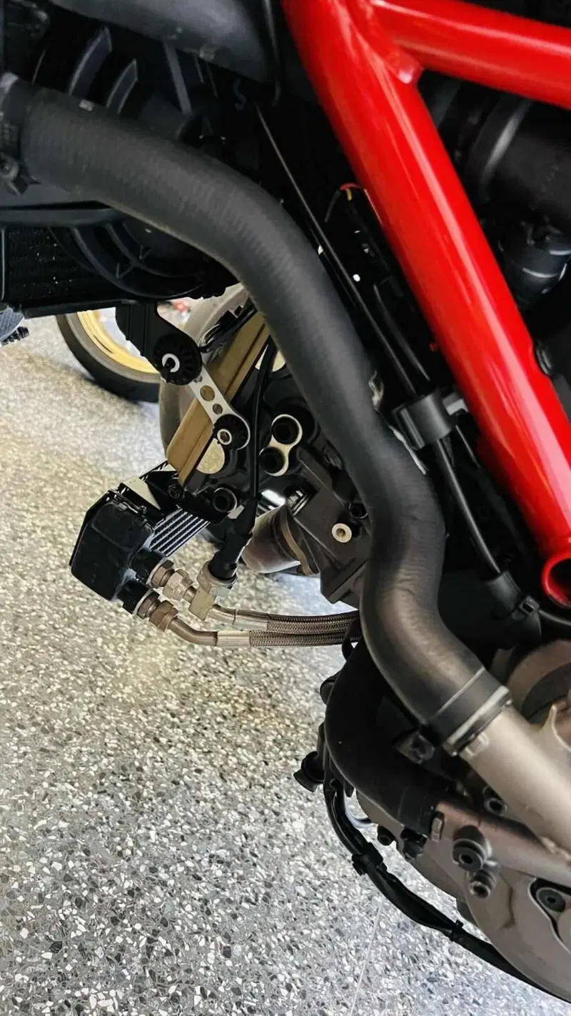 Ducati Hypermotard 950 SP (2019 - 20) (11)