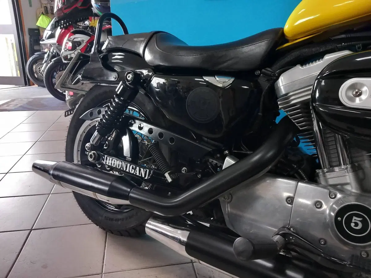 Harley-Davidson 883 (2008 - 09) - XL (15)