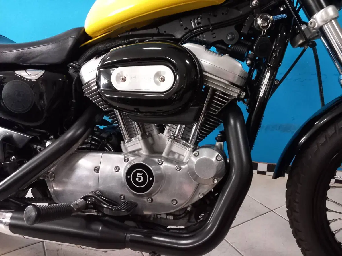Harley-Davidson 883 (2008 - 09) - XL (16)