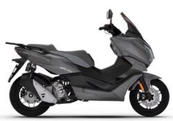 Morbidelli SC300 (2024 - 25) nuova