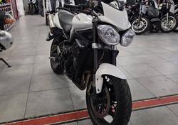Triumph Street Triple (2007 - 12) usata