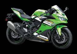 Kawasaki Ninja ZX-4RR (2024 - 26) nuova