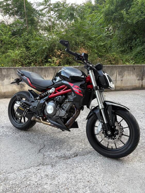 Benelli BN 302 S (2019 - 20) (3)