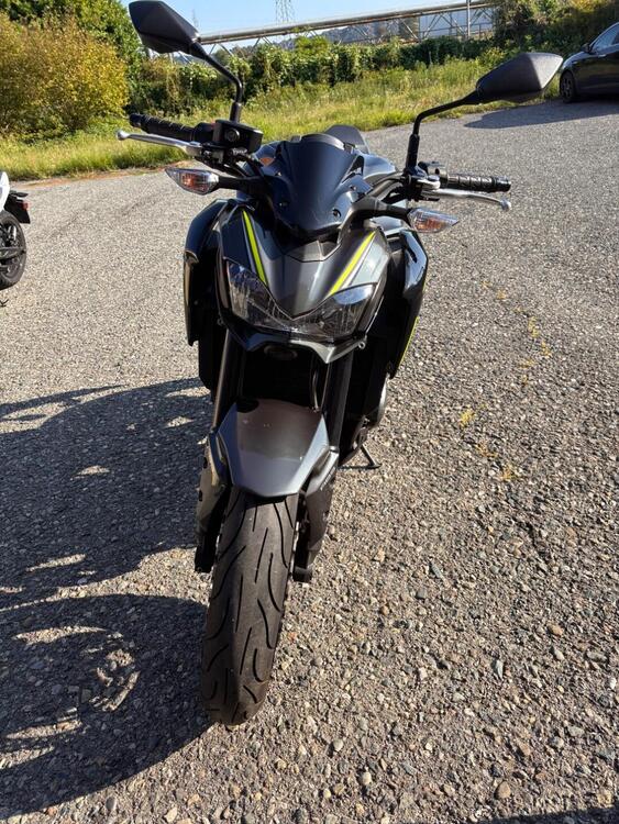 Kawasaki Z 900 (2017 - 18) (2)