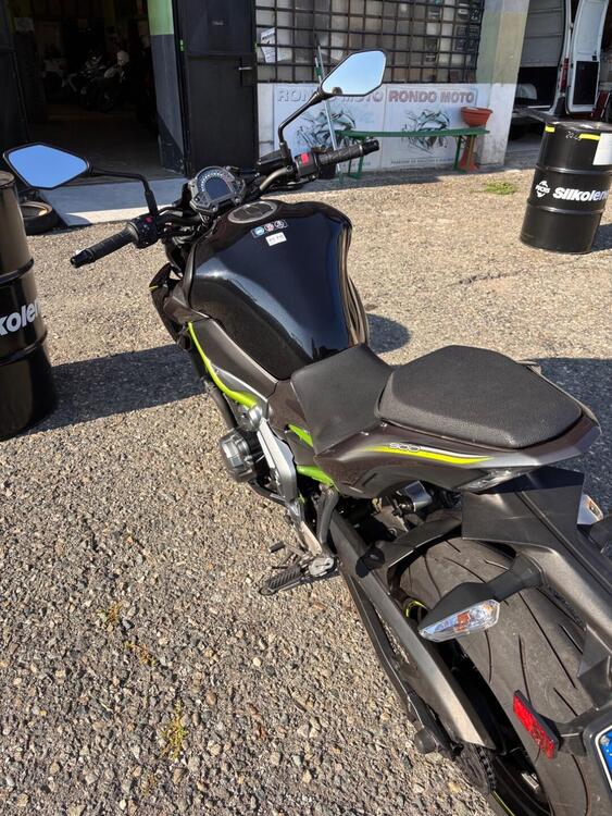 Kawasaki Z 900 (2017 - 18) (4)
