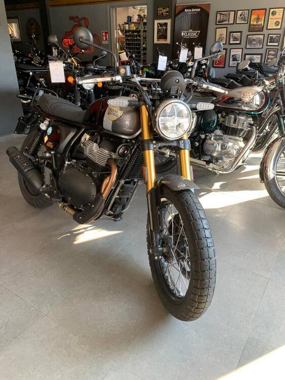 Royal Enfield Bear 650 (2025) (2)