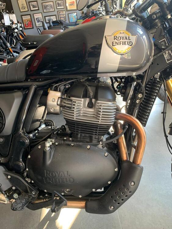 Royal Enfield Bear 650 (2025) (4)