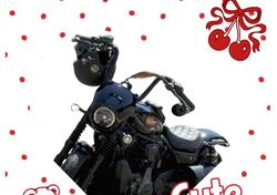 Harley-Davidson Nightster Special (2023 - 25) usata