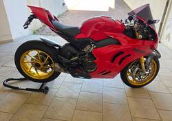 Ducati Panigale V4 (2022 - 24) usata