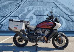 Harley-Davidson Pan America 1250 Special (2020 - 25) usata