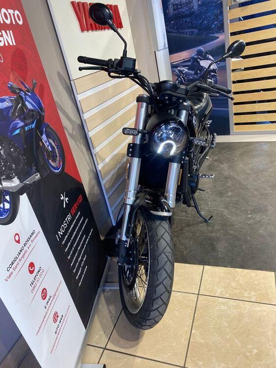 Benelli Leoncino 500 (2021 - 25) (2)