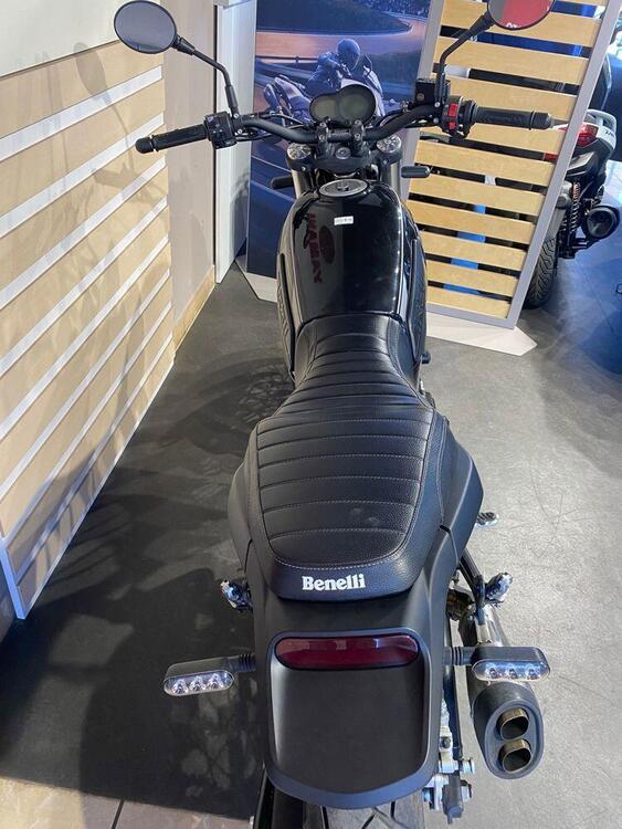 Benelli Leoncino 500 (2021 - 25) (3)