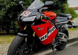 Honda CBR 600 RR (2005 - 06) usata