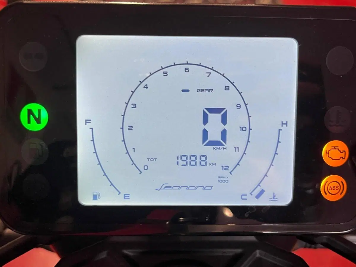 Benelli Leoncino 250 (2021 - 25) (3)